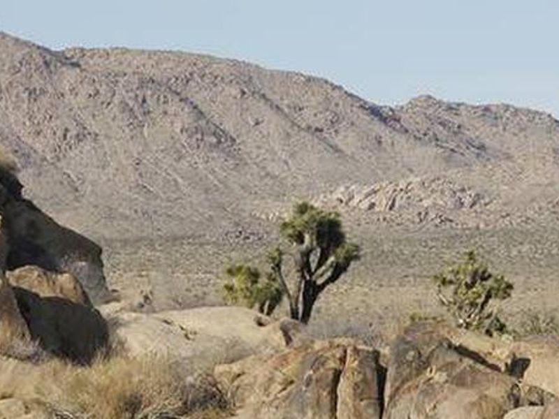 Large sites nestled among the rocks