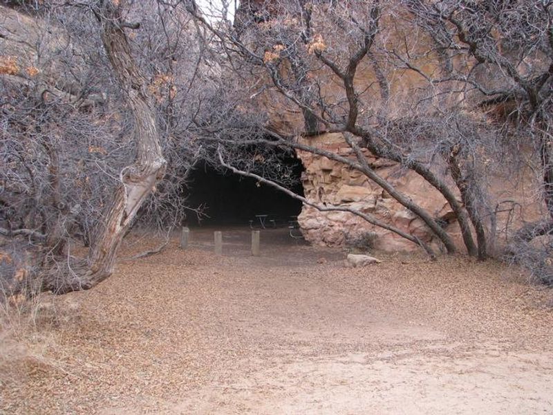 Opening through the trees and slickrock to the split top group site.