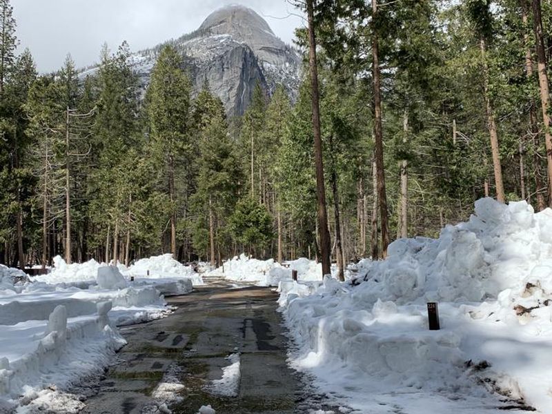 Snow in Upper Pines 6th loop looking toward North Dome.