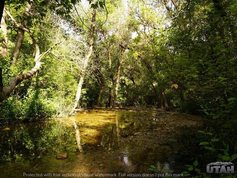 Box Elder Campground