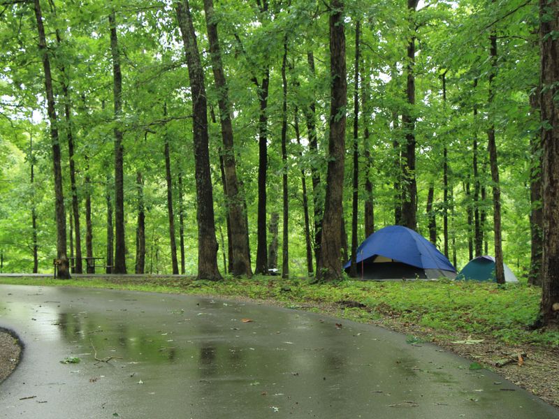 The campgroudn at the Meriwether Lewis site is a great basecamp for exploring the Natchez Trace Parkway in Tennessee