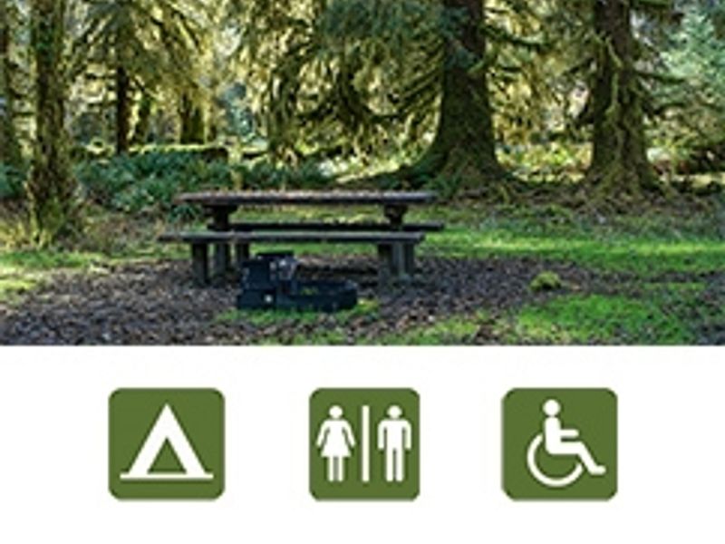 Picnic table in campsite at North Fork Campground.