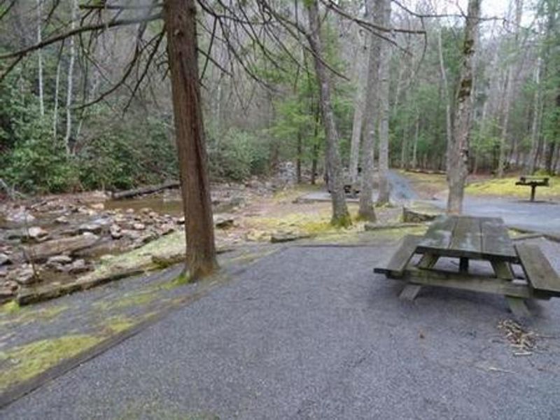 Picnic tables next to Horse Creek