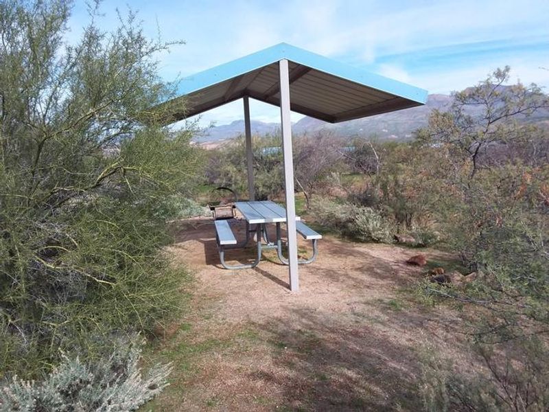 Cholla Campground
