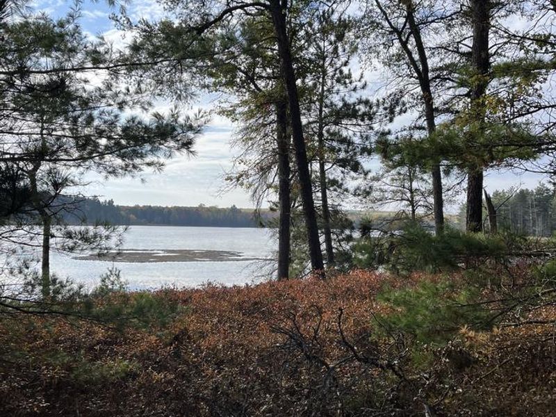A photo of facility Wakeley Lake Campground with No Amenities Shown