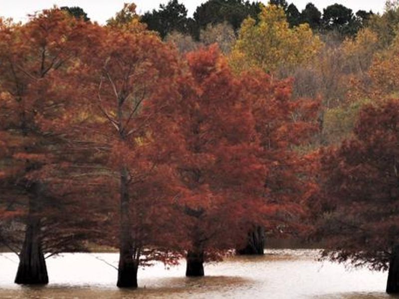 Nestled among beautiful trees of southeastern Oklahoma