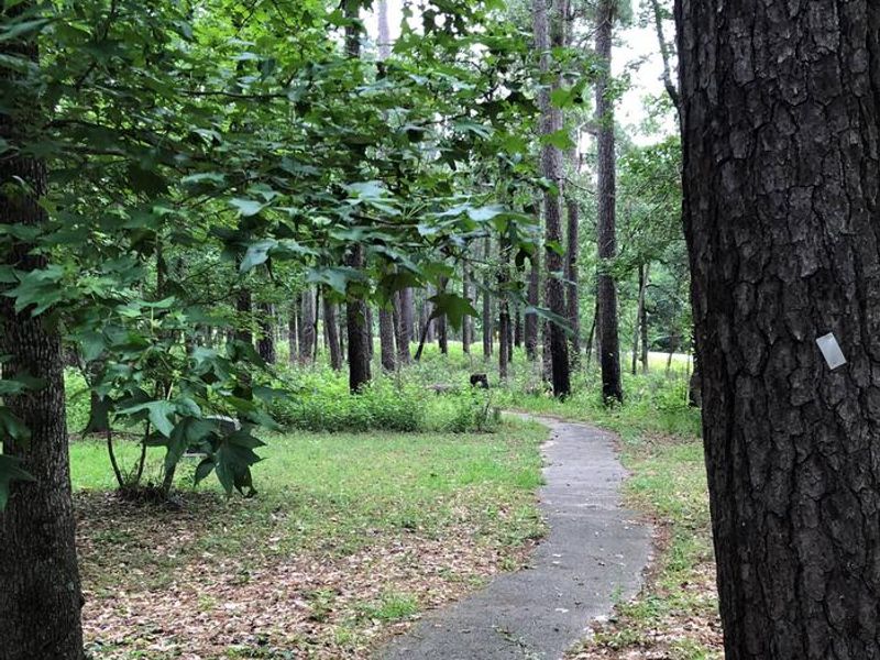Walking path between the two campground loops