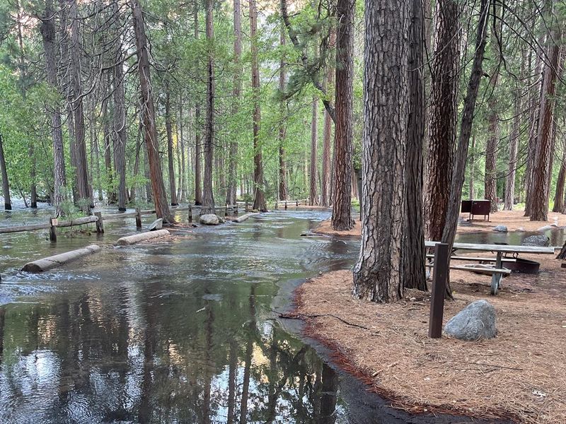 North Pines flooded campground