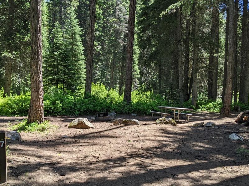 Lake Fork Campground site 7