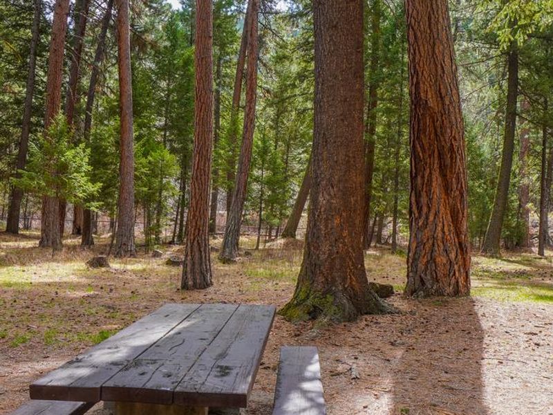 Alta Campground Campsite Table