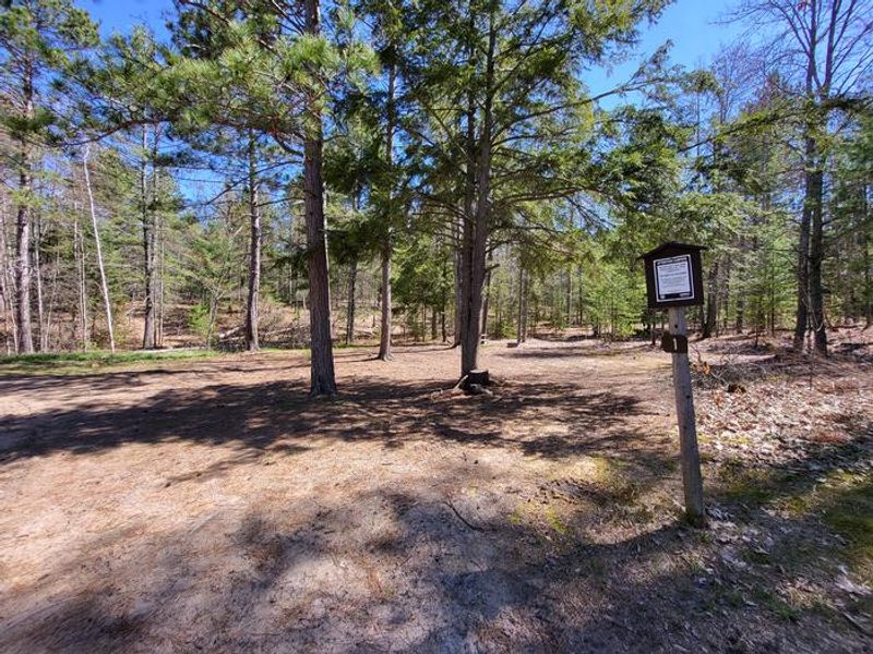 Mowe Lake Campsite 1