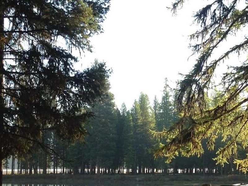 View of Riverpoint Campground where the lake merges with the river.