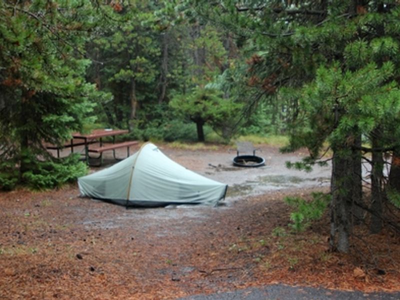 Grant Village Campground