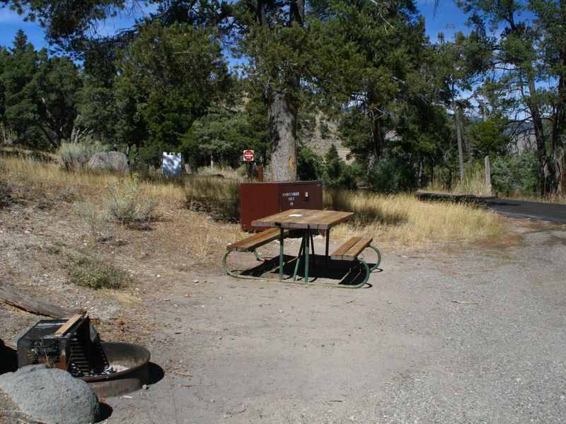 Mammoth Campsite #24