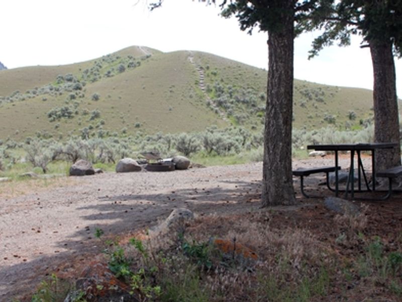 Camping sites at Mammoth Hot Springs Campground