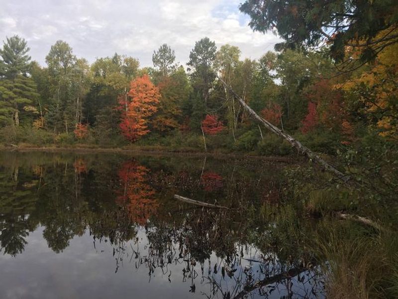 Fall colors reflected in Twin Lake