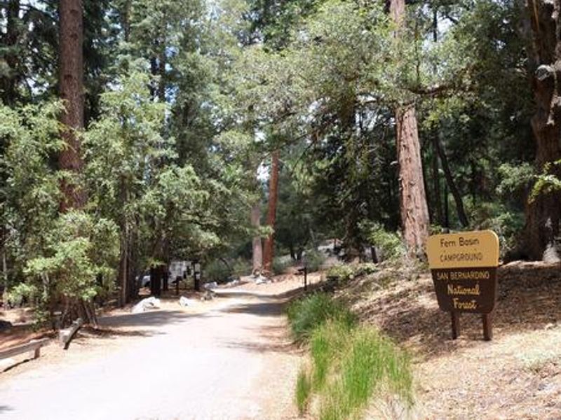 Roadway with Fern Basin Campground sign.