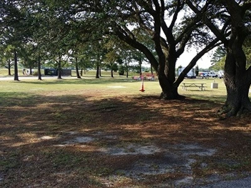 Well shaded tent-only site allows for relaxing afternoons taking in the on-shore breeze.