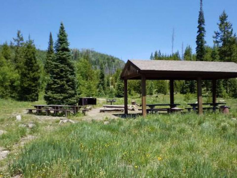 Seedhouse Group Campsite picnic pavilion, hand pump, & bear box