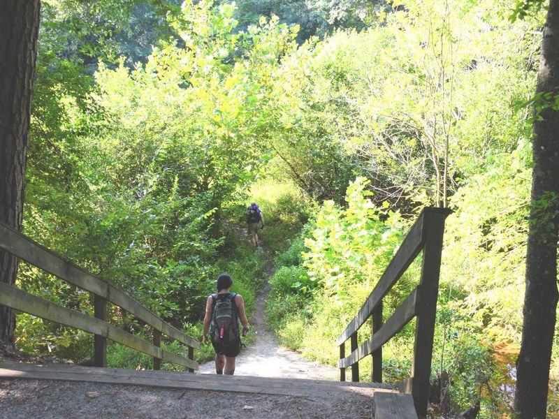 Cooper's Furnace Day Use Area.  Hiking.