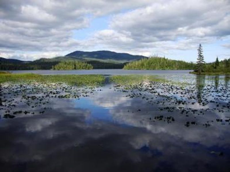Hasselborg Creek Cabin