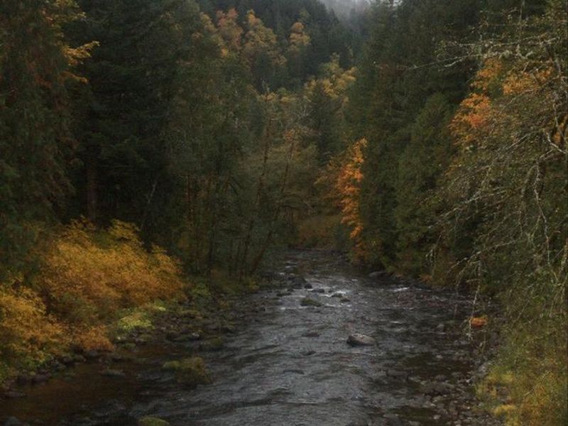 Salmon River from Trailhead Bridge. 
