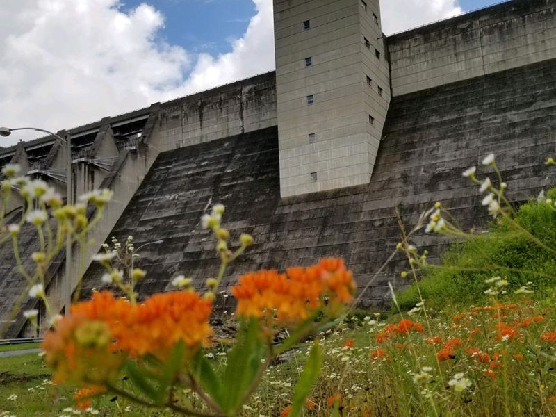 Photo of the Down Stream Area