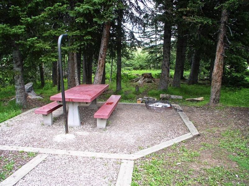 Bald Mountain Site 8