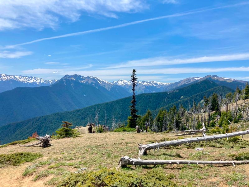 Mountain views from the Deer Park Campground.