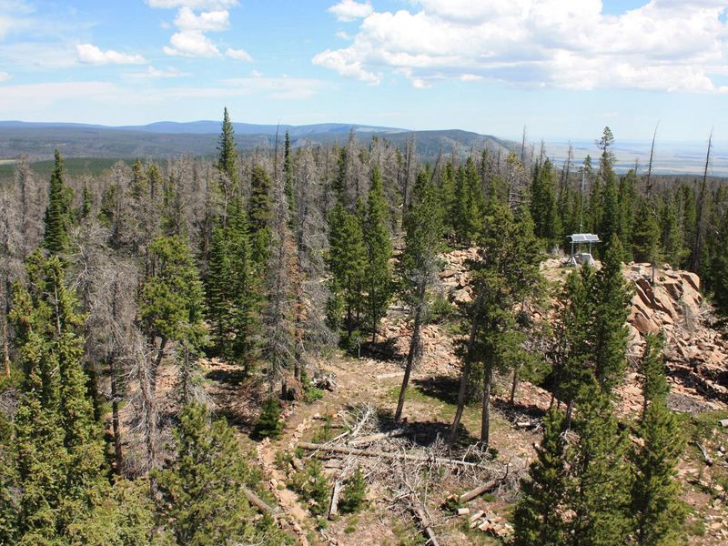 Spruce Mountain Fire Lookout Tower views