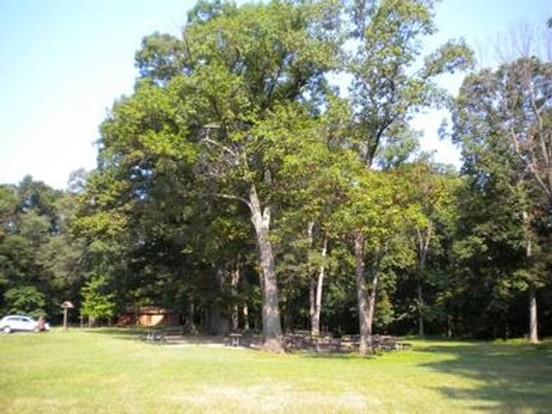 Picnic Area A