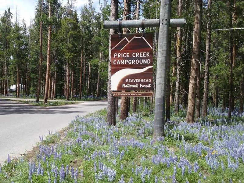 Entrance sign 