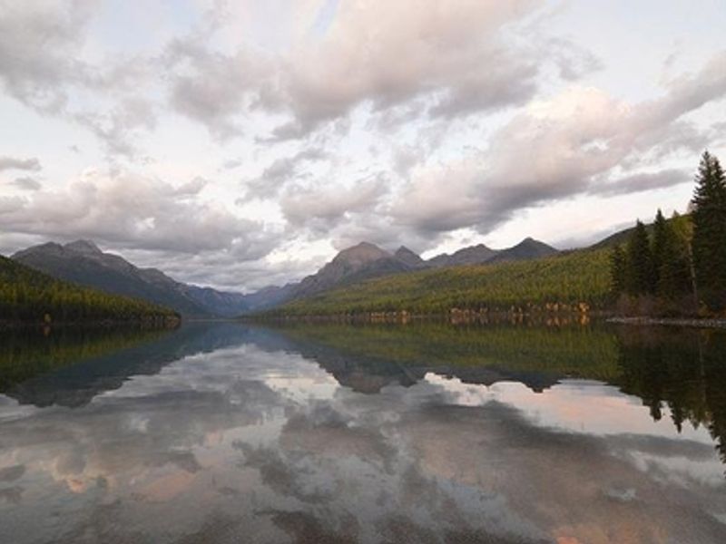 View of Bowman Lake from shoreline near campground