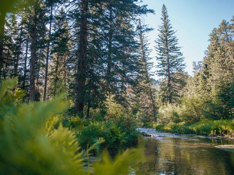 Boxelder Creek at Boxelder Campground