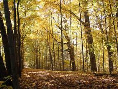 Chellberg Farm Trail in the fall in Indiana Dunes National Lakeshore.