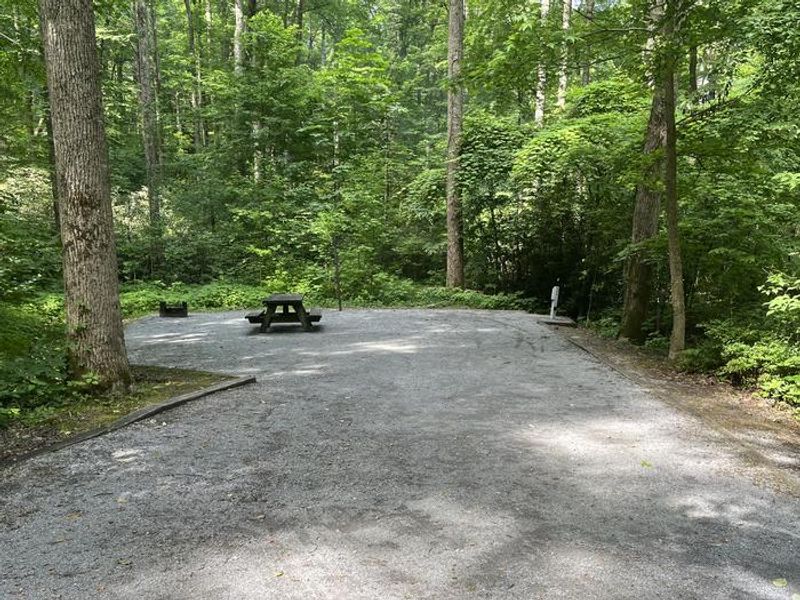 Site 13 at Rock Creek