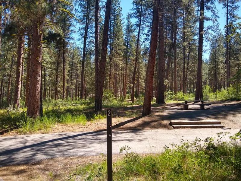 Site 2 at Grayback Gulch.