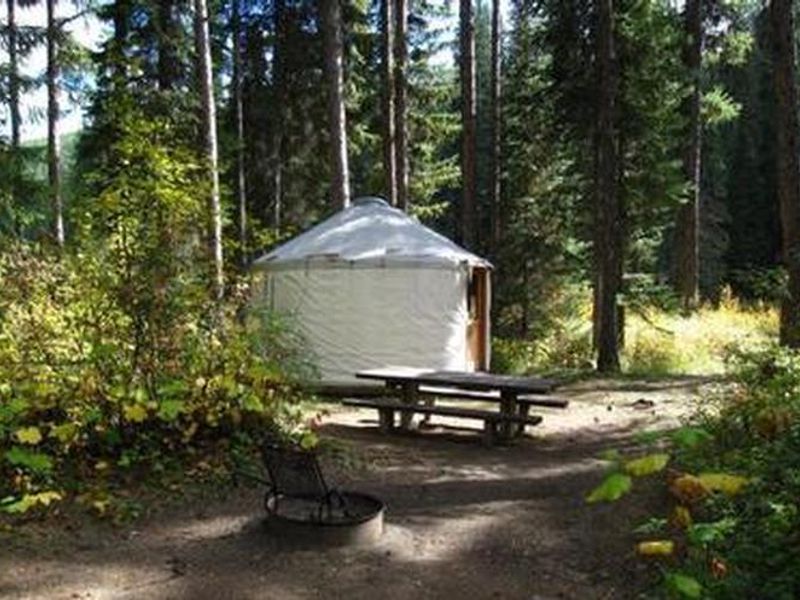 Whitetail Yurt