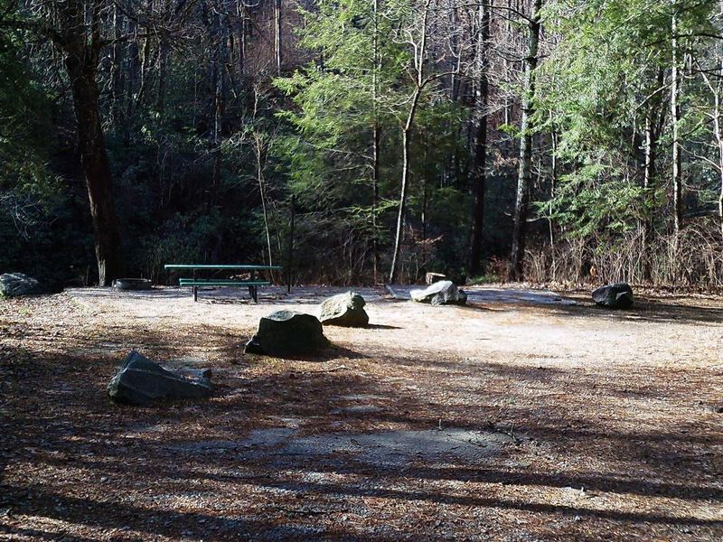 Campsite 5 is one of the reservation sites that is next to the river.
