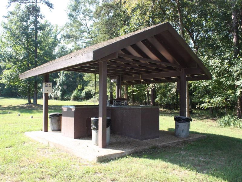 Fish Cleaning Station