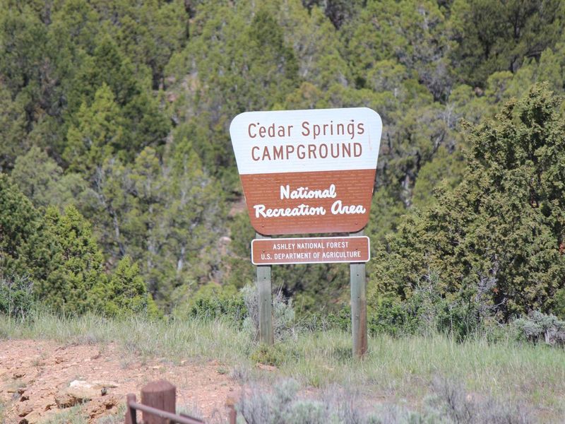 Cedar Springs Campground