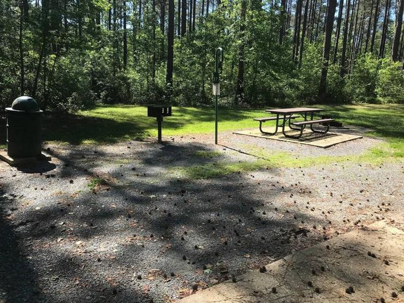 Shaded Class A Campsite #17. RV pad, water, and 20/30/50 AMP electric hook-ups as well as basic campsite amenities including a picnic table, lantern post, fire ring, trash can and grill.