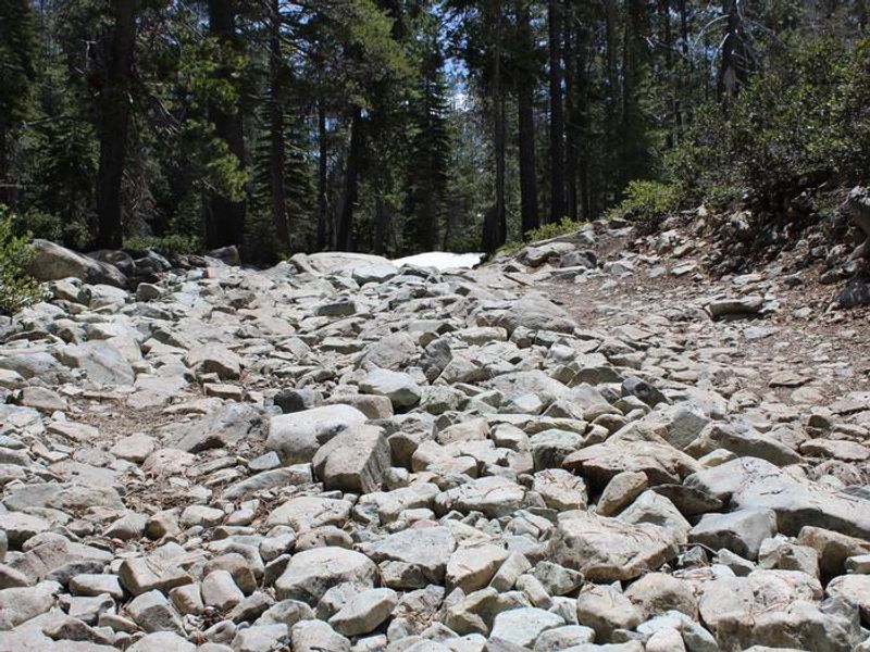 Boulder Strewn Road