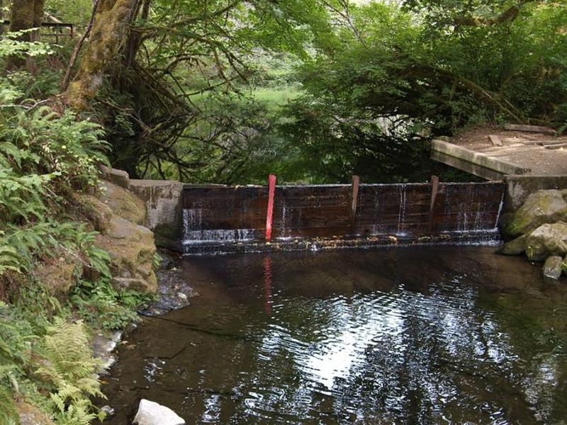 Dam at Whittaker Creek. 