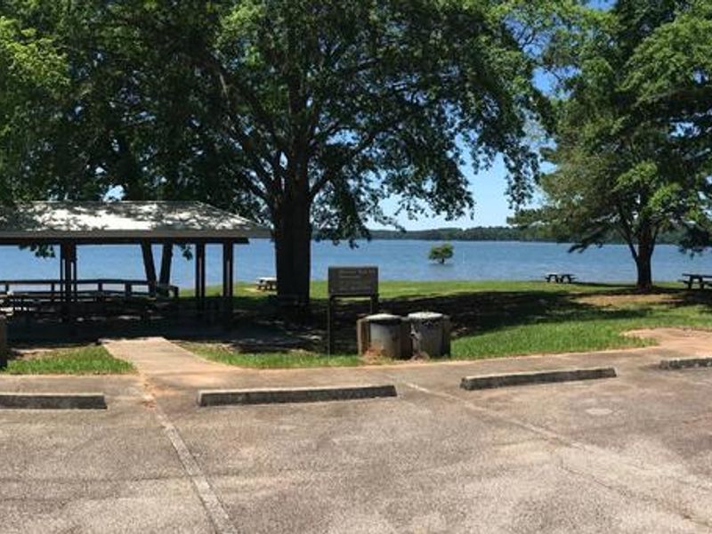 Earl Cook Shelter #1