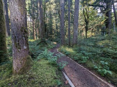TRAIL