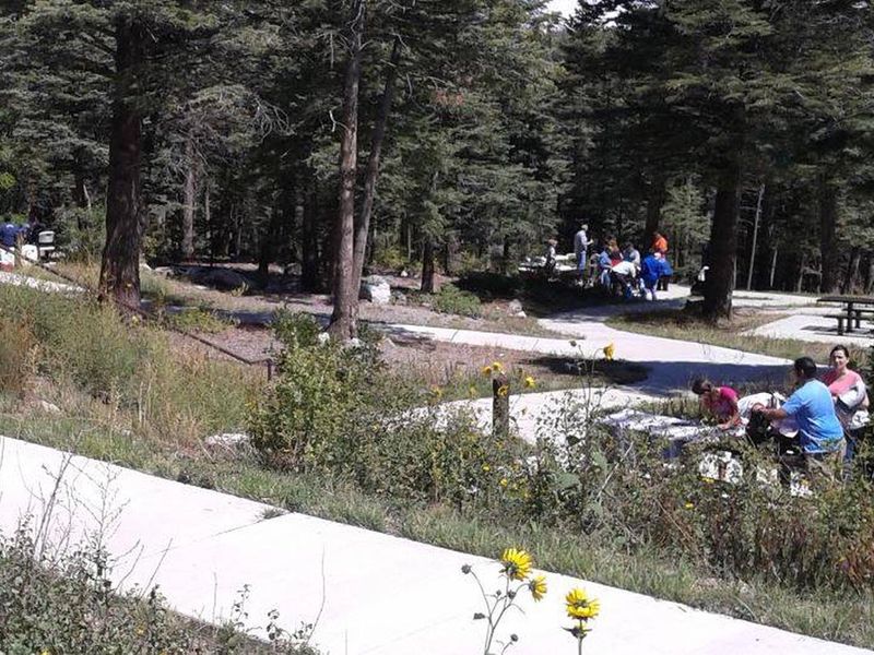 Dispersed picnicking