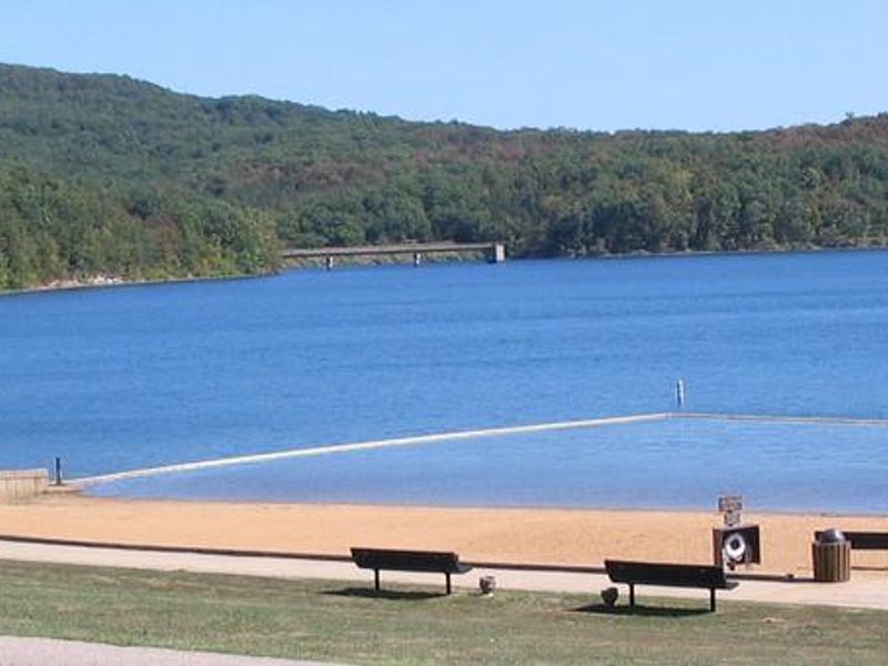 Great day for a swim.