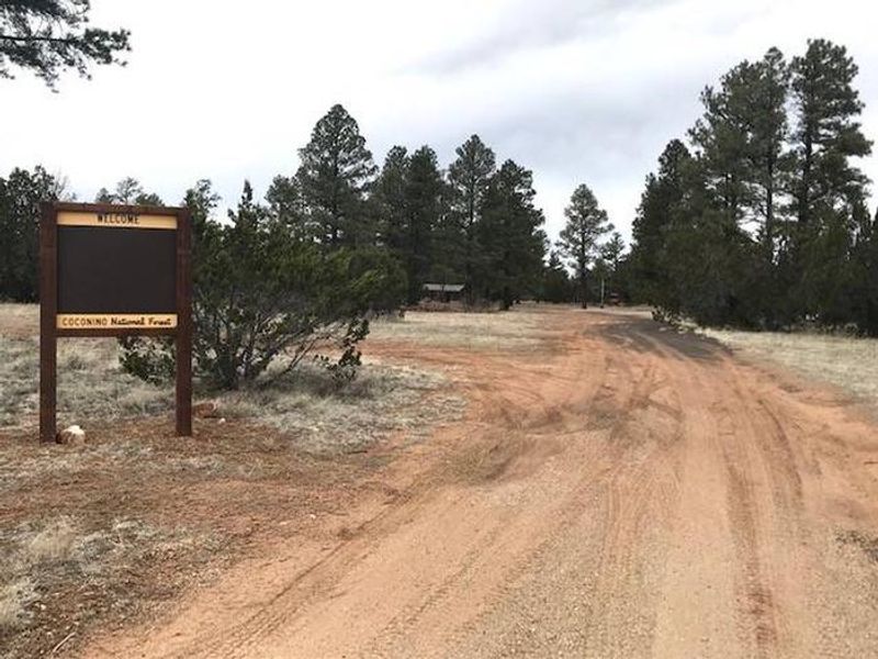 Elks Group Campground