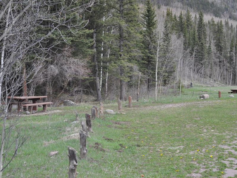 Lake Fork Campground Site 15